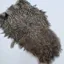 Whiting Coq de Leon Hen Soft Hackle with Chickabou in Speckled Natural Silver Speckled